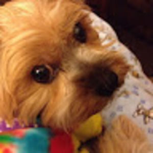 Meet your Posher, Eileen/danny